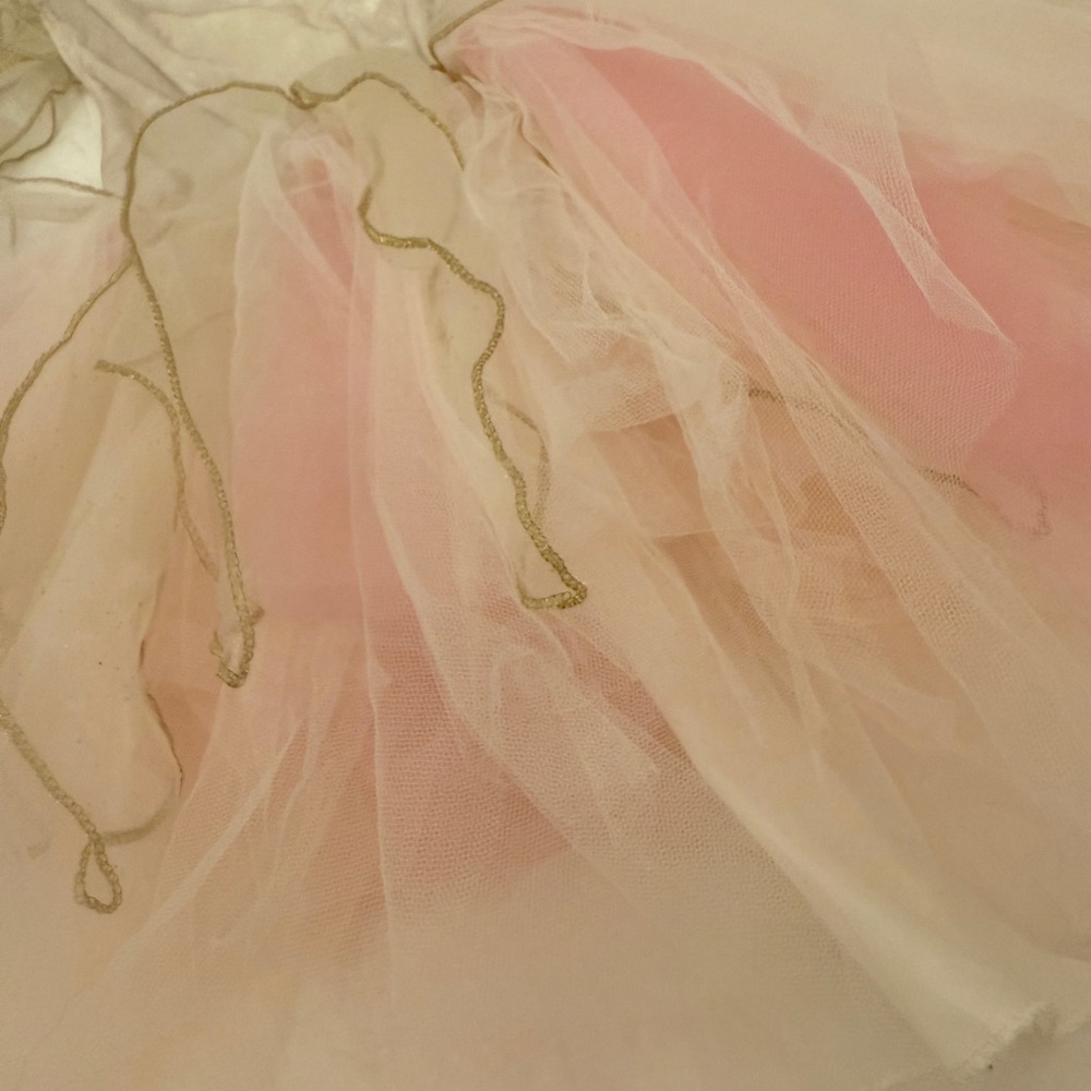 Fairy Costume - Picture 5 of 6